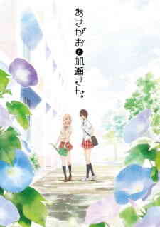 Kimi no Hikari: Asagao to Kase-san. (Dub)