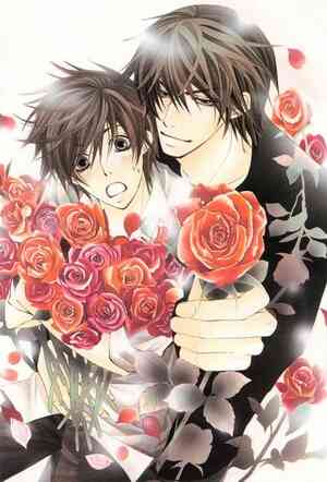 Sekai Ichi Hatsukoi 2